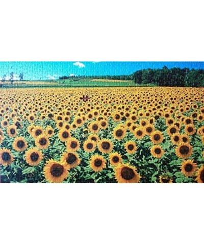 1000 piece Premium Jigsaw Puzzles "A Sunflower Field" A-1095 $28.90 Jigsaw Puzzles