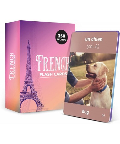 350 French Vocabulary Flash Cards – Educational Language Learning Resource with Pictures for Memory & Sight Words - Fun Game ...