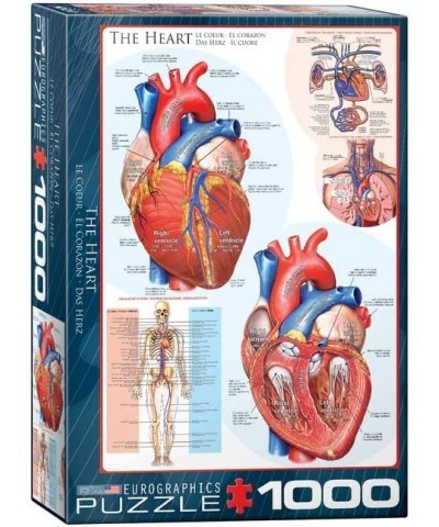 Human Body (The Heart) Puzzle (1000-Piece) Blue $32.99 Jigsaw Puzzles