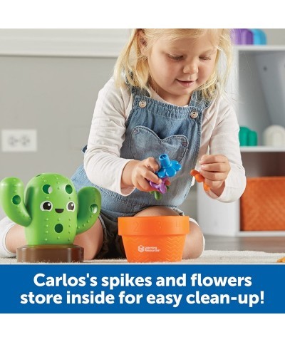 Carlos The Pop & Count Cactus - 16 Pieces Age 18+ Months Toddler Learning Toys Preschool Toys Educational Toys for Kids Gifts...