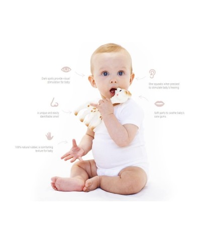 Sophie The Giraffe x GCF (Giraffe Conservation Foundation) Set $45.86 Baby Teether Toys