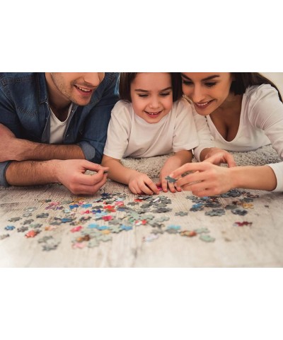 Sweet Cottages : A Collection of 12 Mini Shaped Puzzles Totaling 500 color coded pieces By Artist: Kim Leo $34.47 Board Games